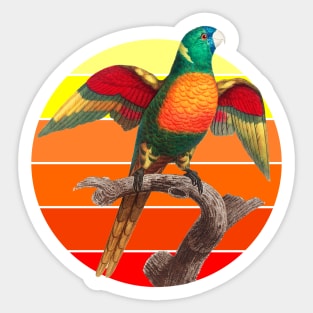 The Blue Headed Parrot retro sunset Sticker